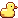 :CatYellowDuck: