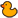 :loud_duck: